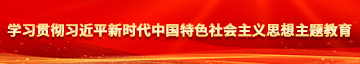 狠插猛抽学习贯彻习近平新时代中国特色社会主义思想主题教育